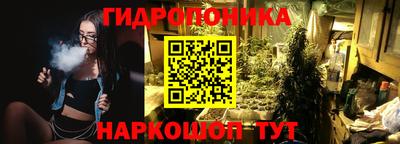 apvp Балашиха