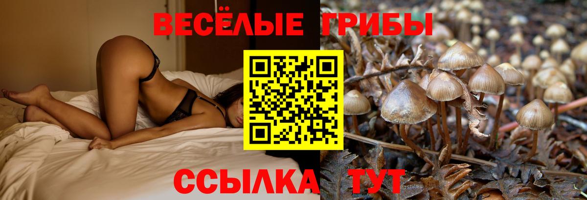 Галлюциногенные грибы MAGIC MUSHROOMS Джанкой